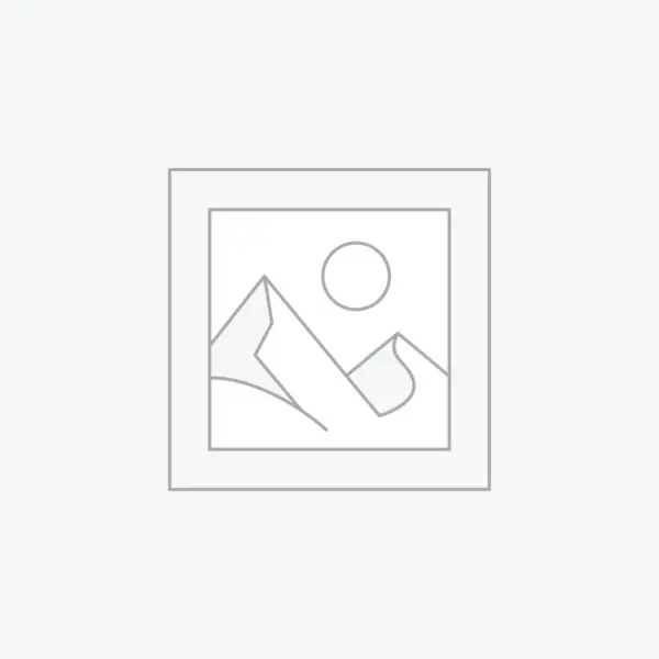 Uncategorized